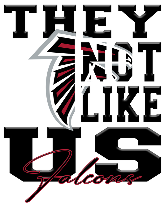 "They Not Like Us" Team T-Shirt/Hoodie "Falcons